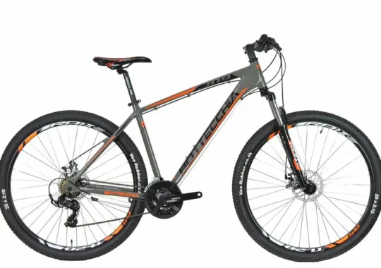 Ποδήλατο Mtb Bottecchia 109 mDisk g orange 29