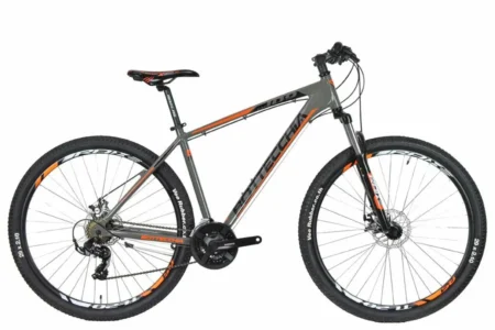 Ποδήλατο Mtb Bottecchia 109 mDisk g orange 29