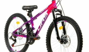 Ποδήλατο DHS TERRANA 24” 18 ταχύτητες και Μηχανικά Δισκόφρενα Ροζ