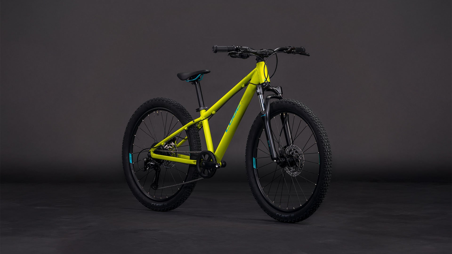 Παιδικό Ποδήλατο Cube Acid 240 Δισκόφρενα lizard 'n' blue - 2026