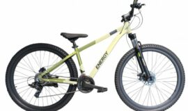 Ποδήλατο Βουνού Energy Enigma 29" Disc (21 ταχ. Μηχανικά φρ.)